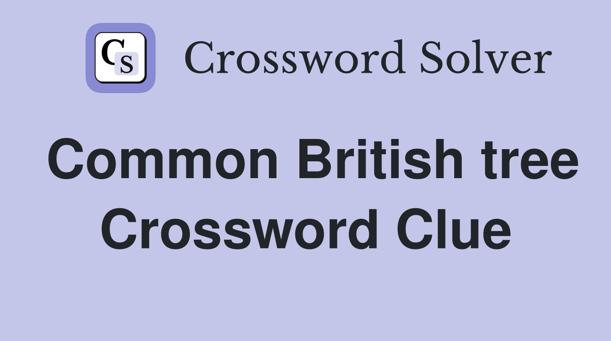 Common British tree Crossword Clue