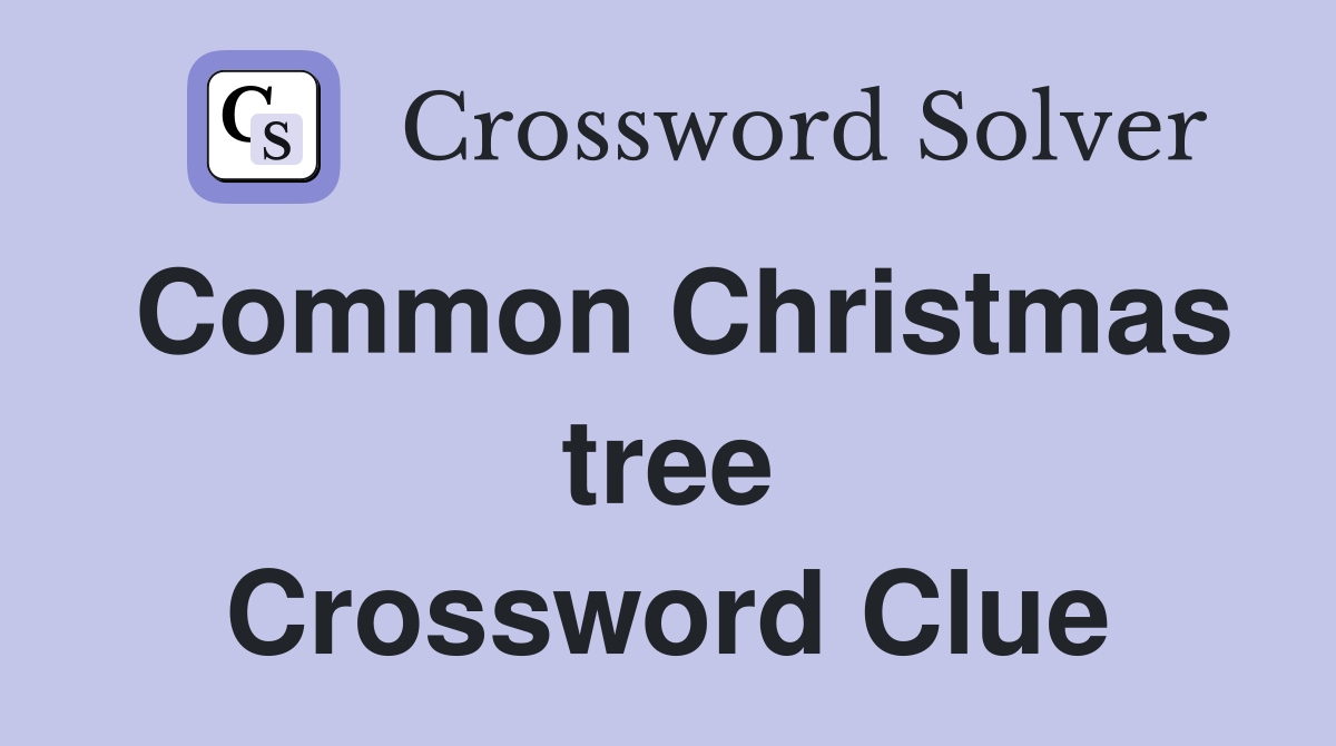 Common Christmas tree Crossword Clue
