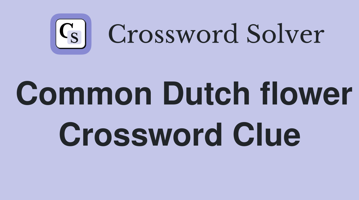 Common Dutch flower Crossword Clue