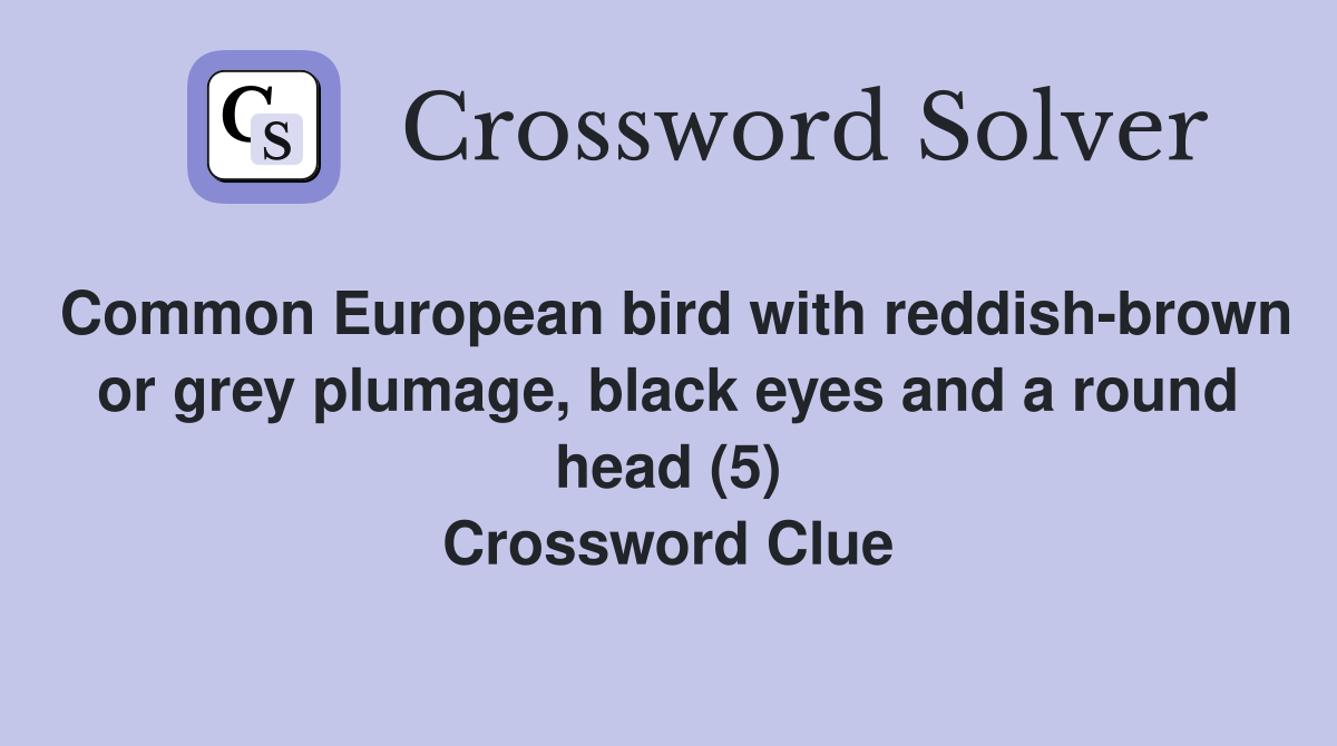 Common European bird with reddish-brown or grey plumage, black eyes and a round head (5) Crossword Clue