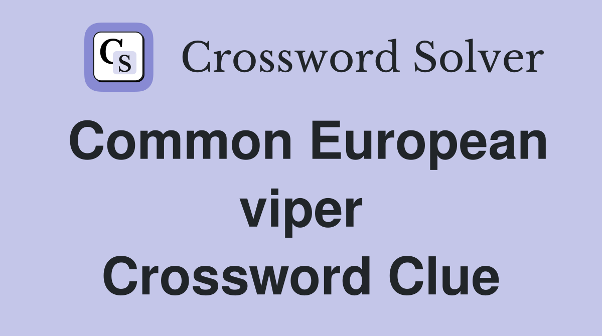 Common European viper Crossword Clue