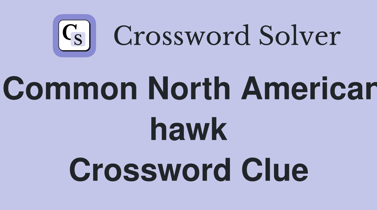 Common North American hawk Crossword Clue