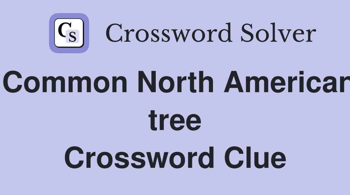 Common North American tree Crossword Clue