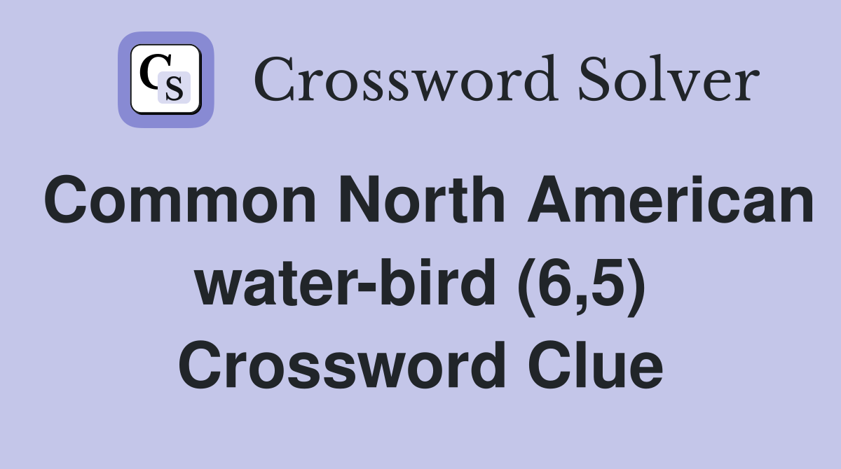 Common North American water-bird (6,5) Crossword Clue