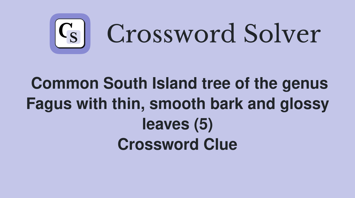 Common South Island tree of the genus Fagus with thin, smooth bark and glossy leaves (5) Crossword Clue