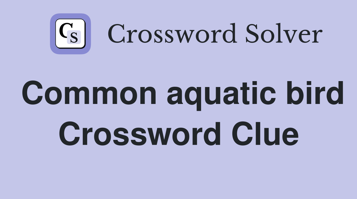 Common aquatic bird Crossword Clue