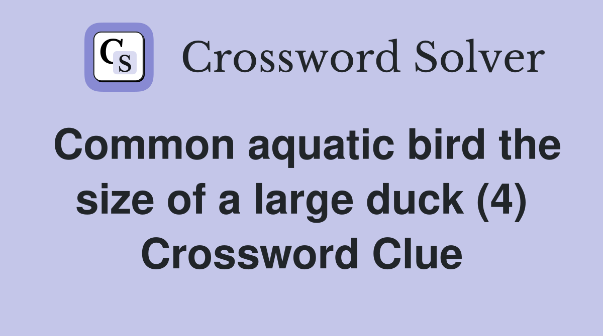 Common aquatic bird the size of a large duck (4) Crossword Clue