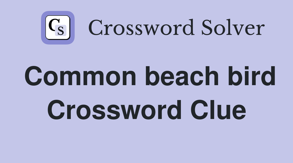 Common beach bird Crossword Clue