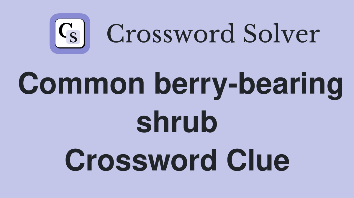 Common berry-bearing shrub Crossword Clue