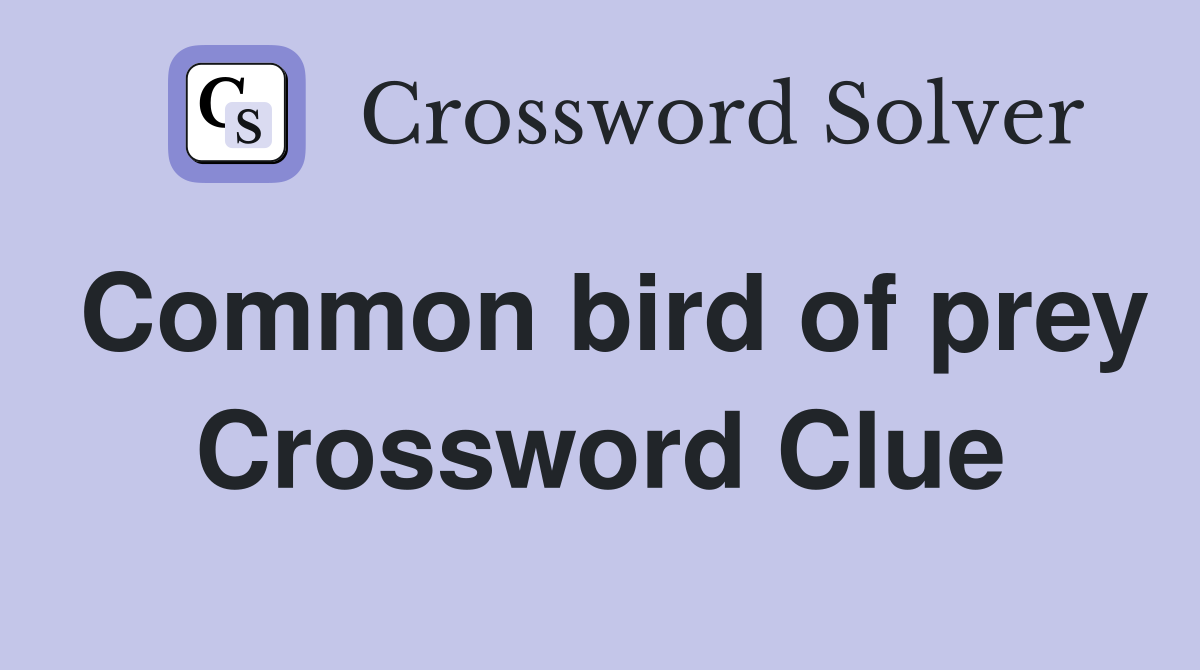 Common bird of prey Crossword Clue