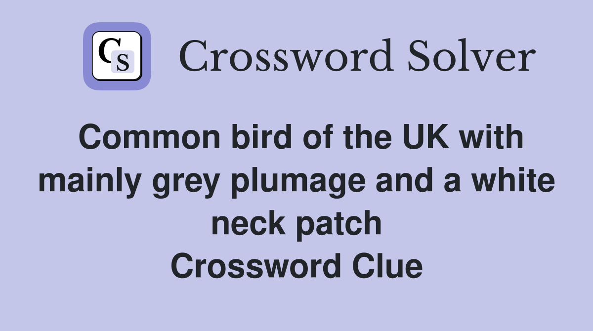 Common bird of the UK with mainly grey plumage and a white neck patch Crossword Clue