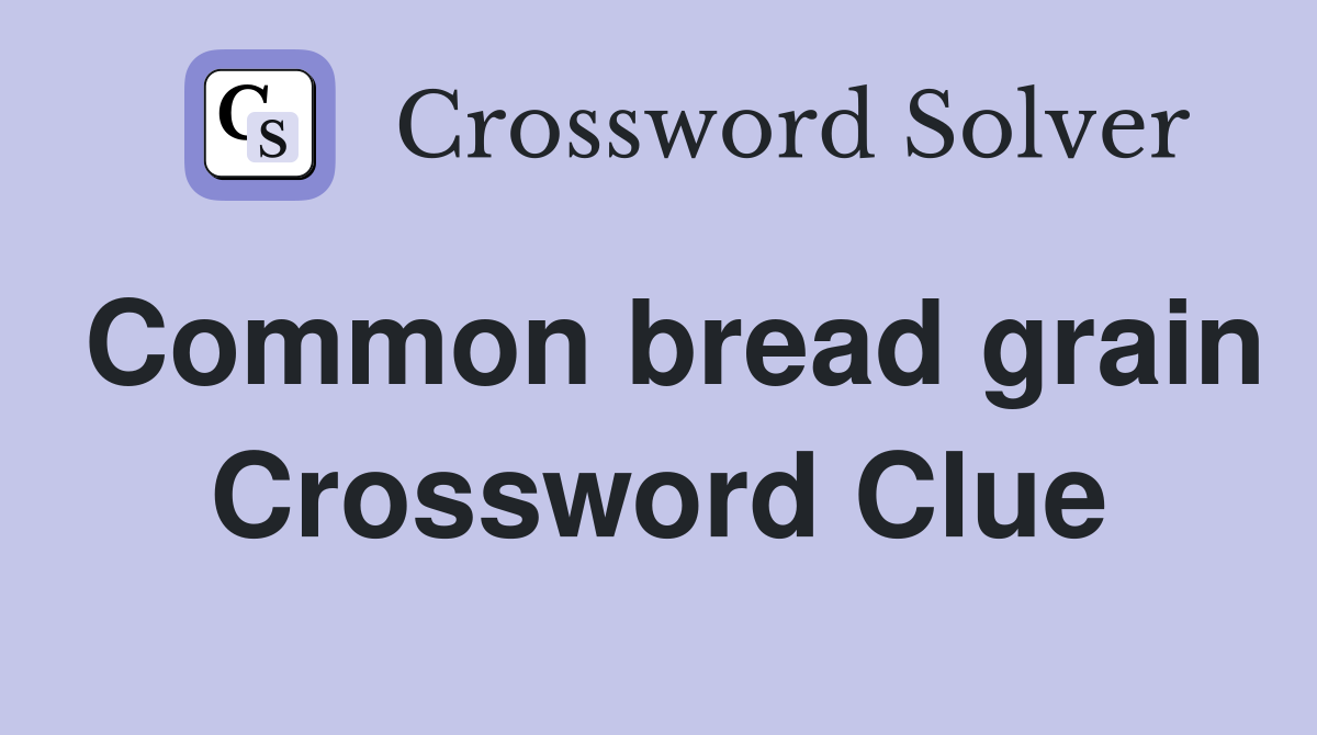 Common bread grain Crossword Clue