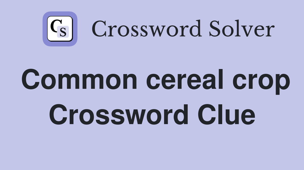 Common cereal crop Crossword Clue