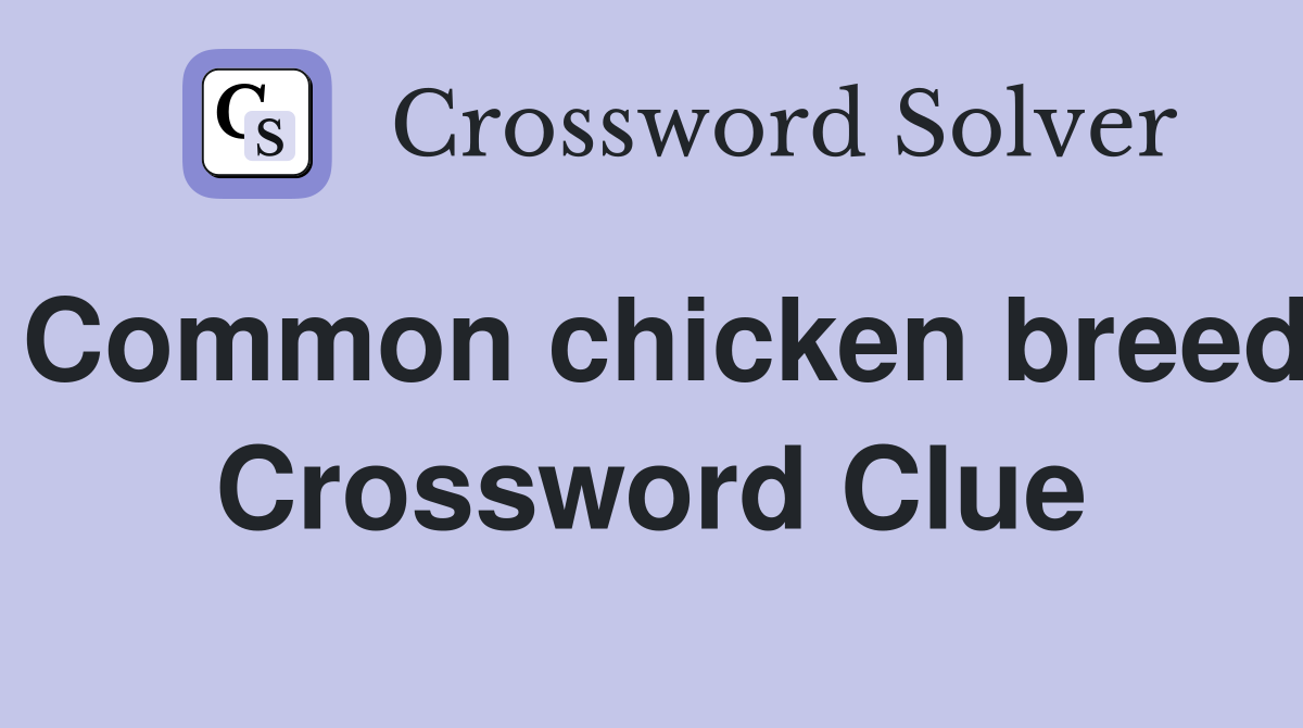 Common chicken breed Crossword Clue