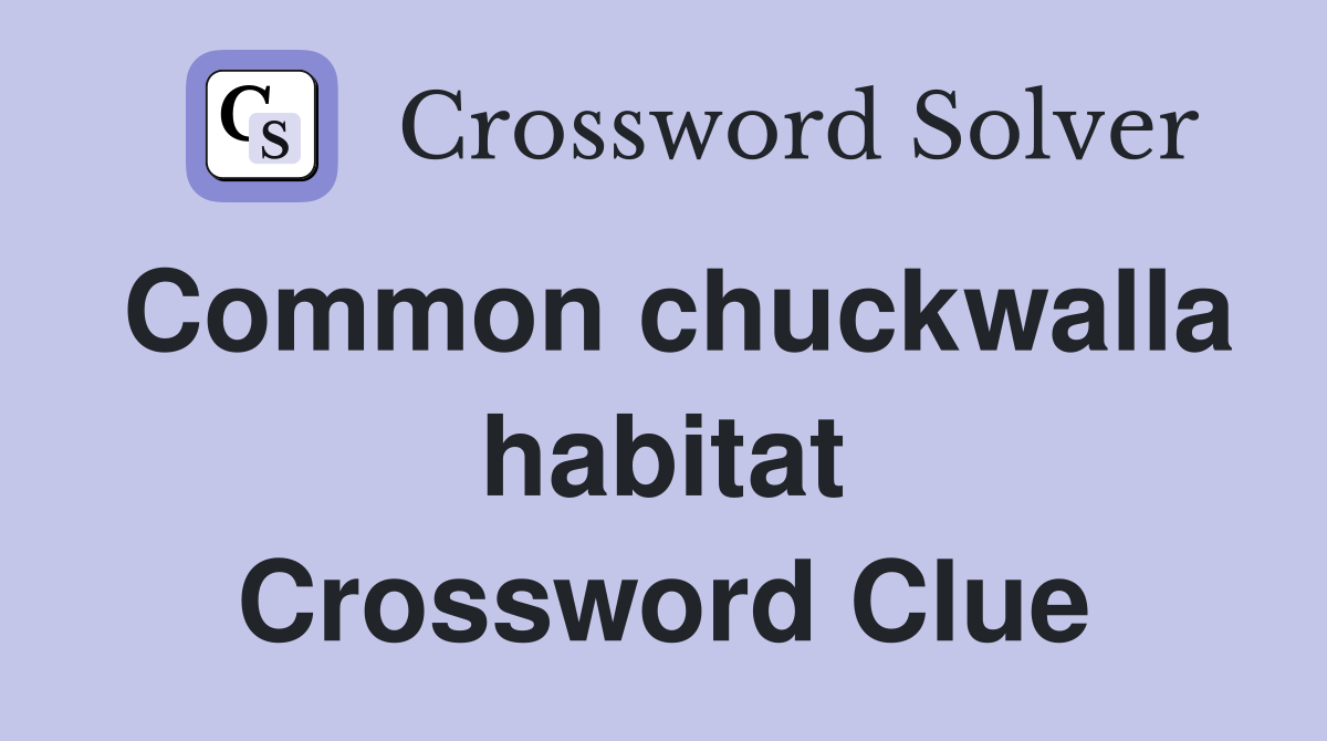 Common chuckwalla habitat Crossword Clue