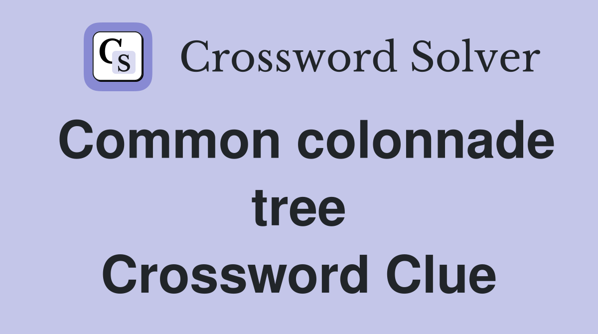 Common colonnade tree Crossword Clue