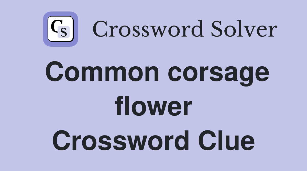 Common corsage flower Crossword Clue