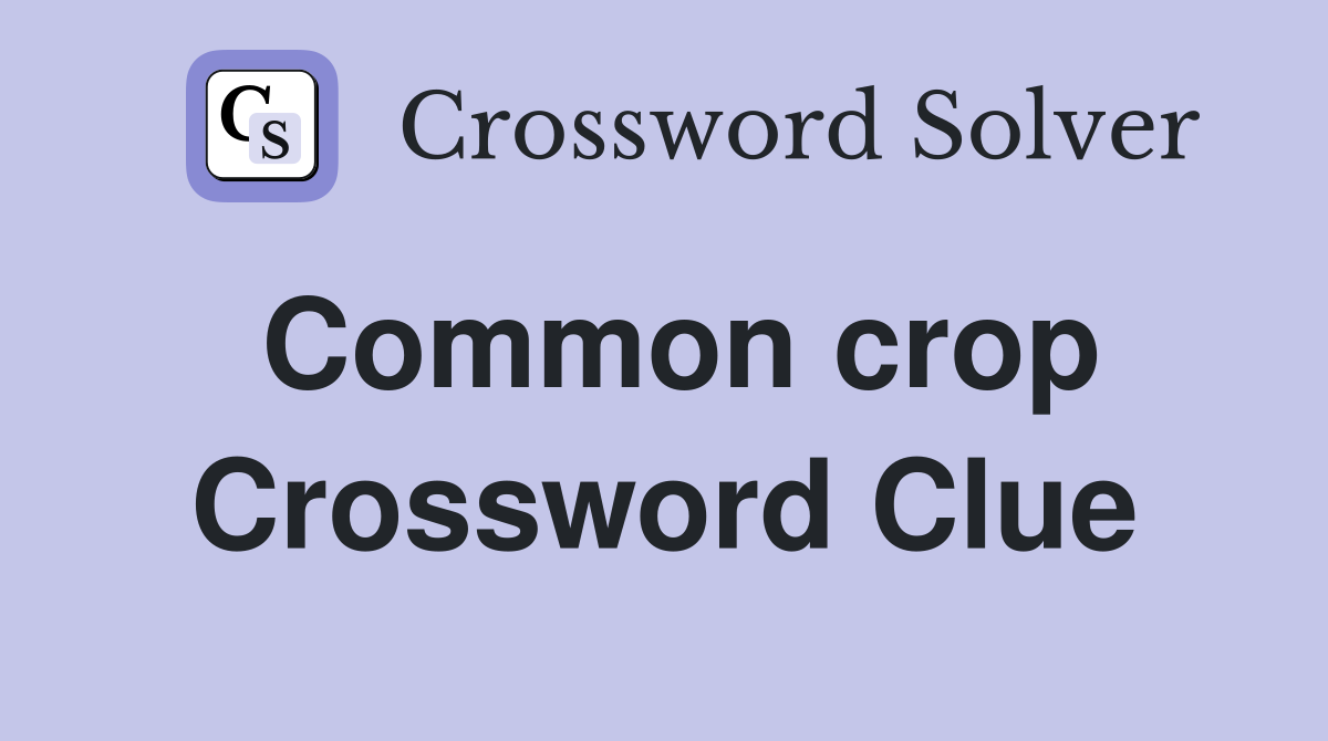 Common crop Crossword Clue