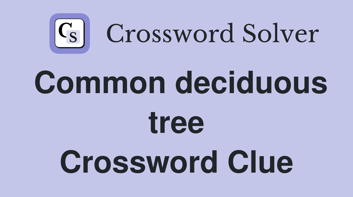 Common deciduous tree Crossword Clue