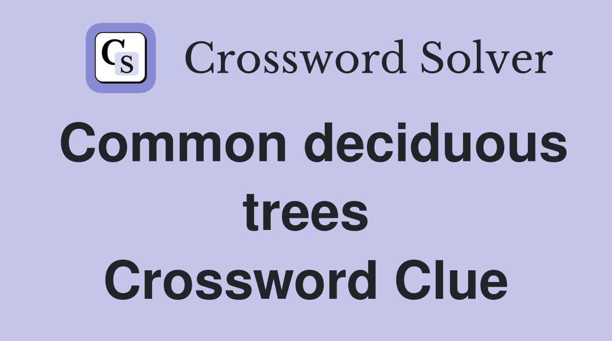Common deciduous trees Crossword Clue