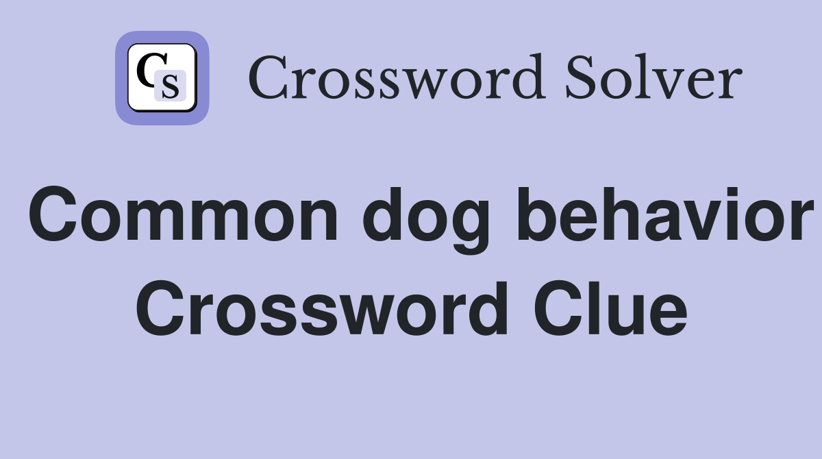 Common dog behavior Crossword Clue