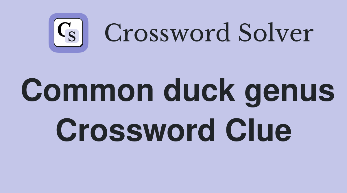 Common duck genus Crossword Clue