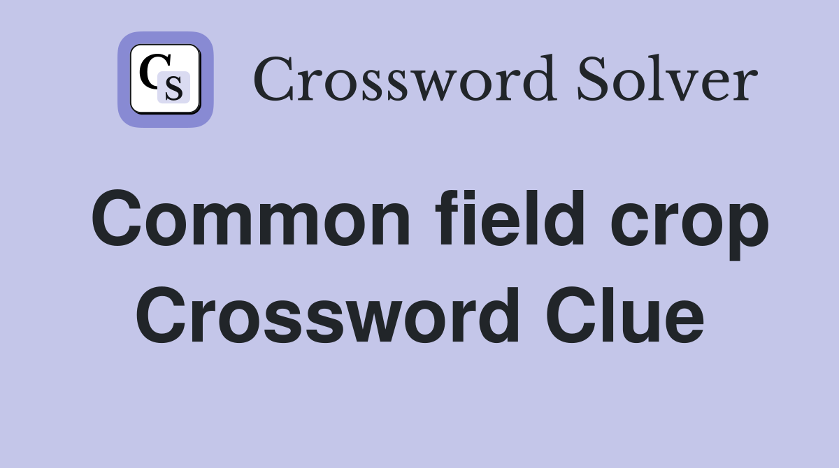 Common field crop Crossword Clue