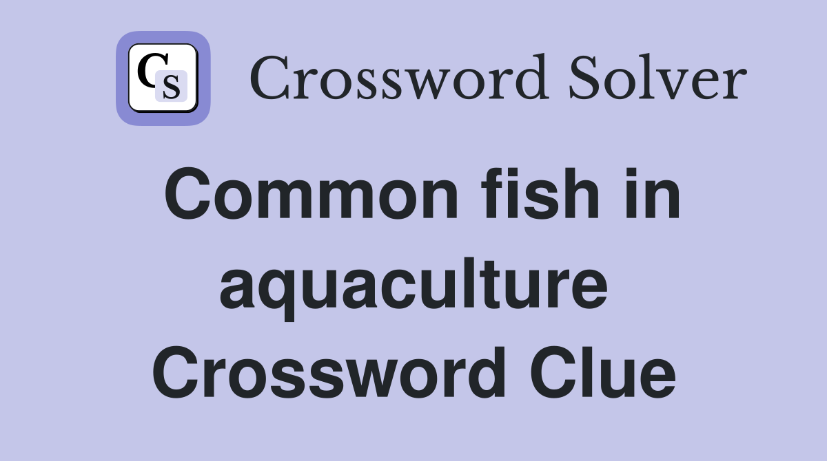Common fish in aquaculture Crossword Clue