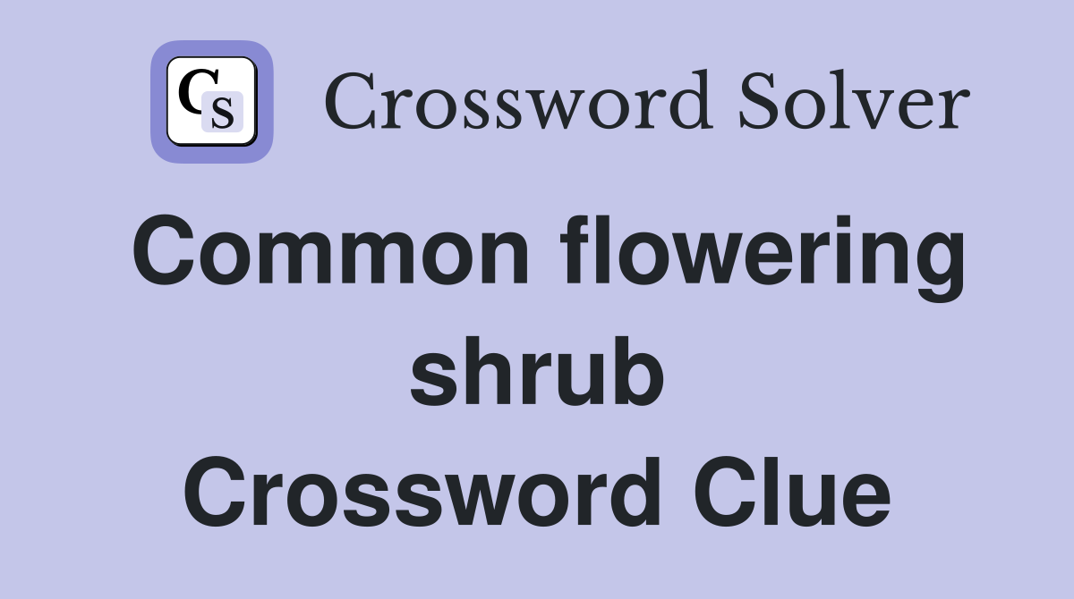 Common flowering shrub Crossword Clue