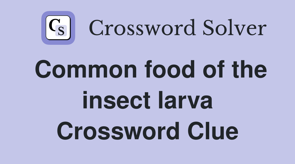 Common food of the insect larva Crossword Clue