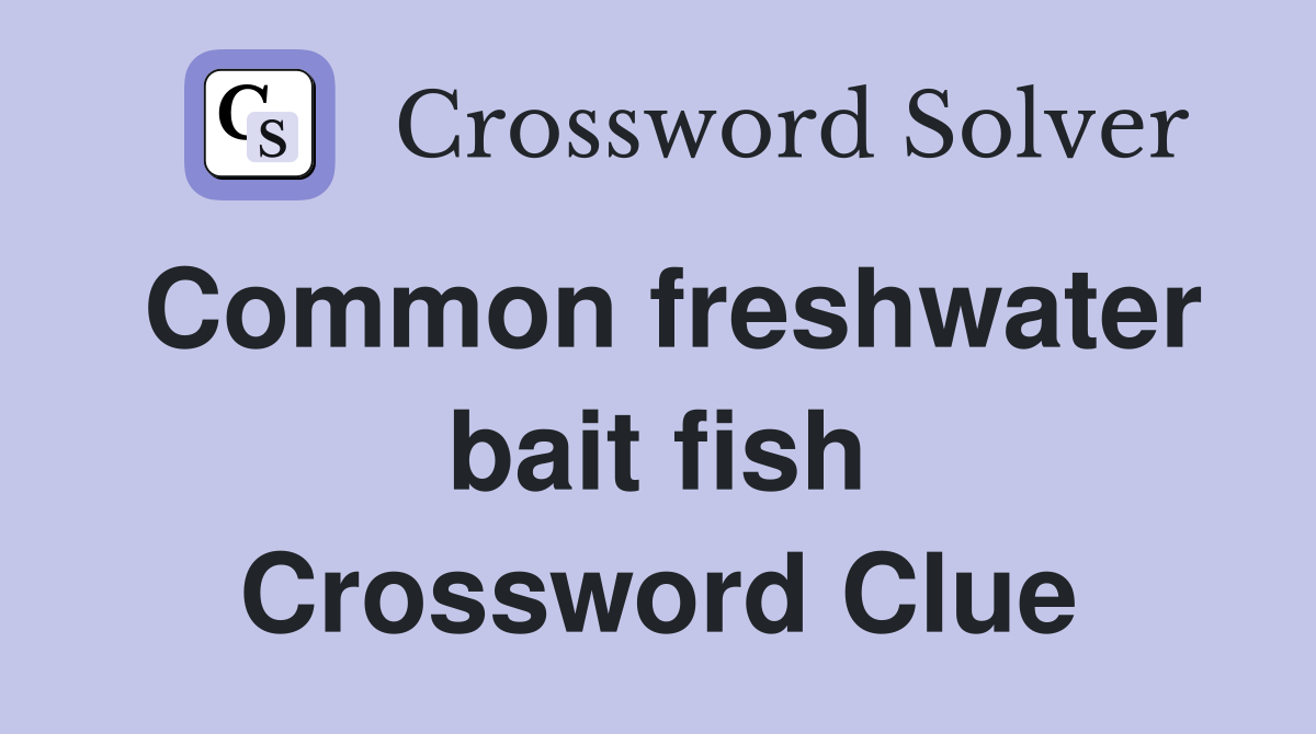 Common freshwater bait fish Crossword Clue