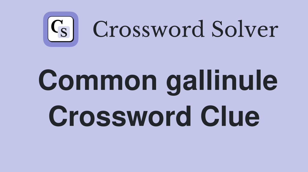 Common gallinule Crossword Clue