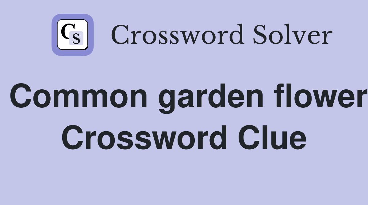 Common garden flower Crossword Clue