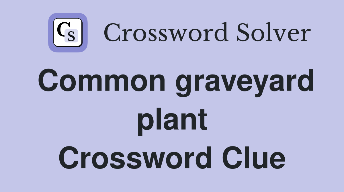 Common graveyard plant Crossword Clue