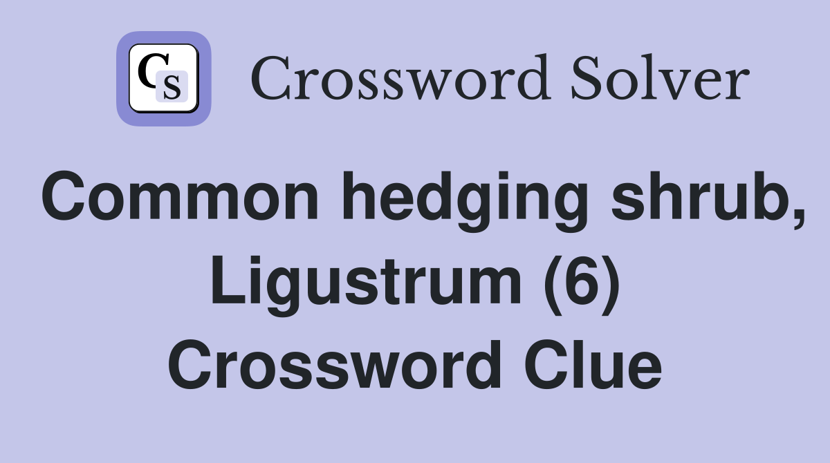 Common hedging shrub, Ligustrum (6) Crossword Clue