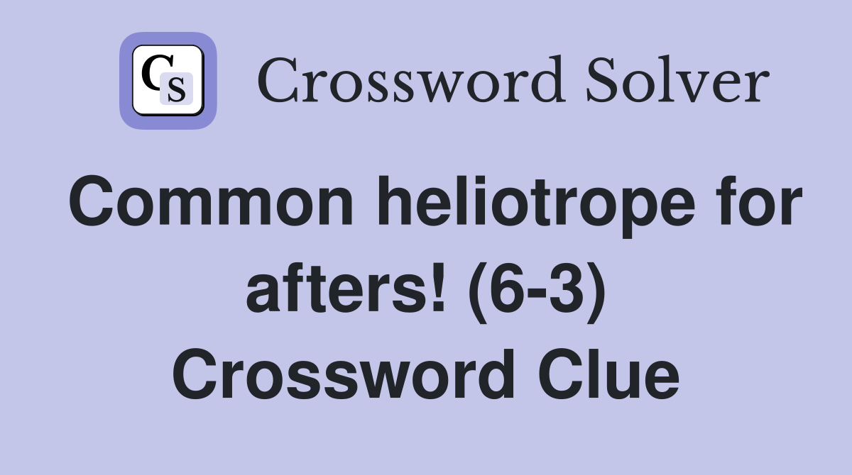 Common heliotrope for afters! (6-3) Crossword Clue