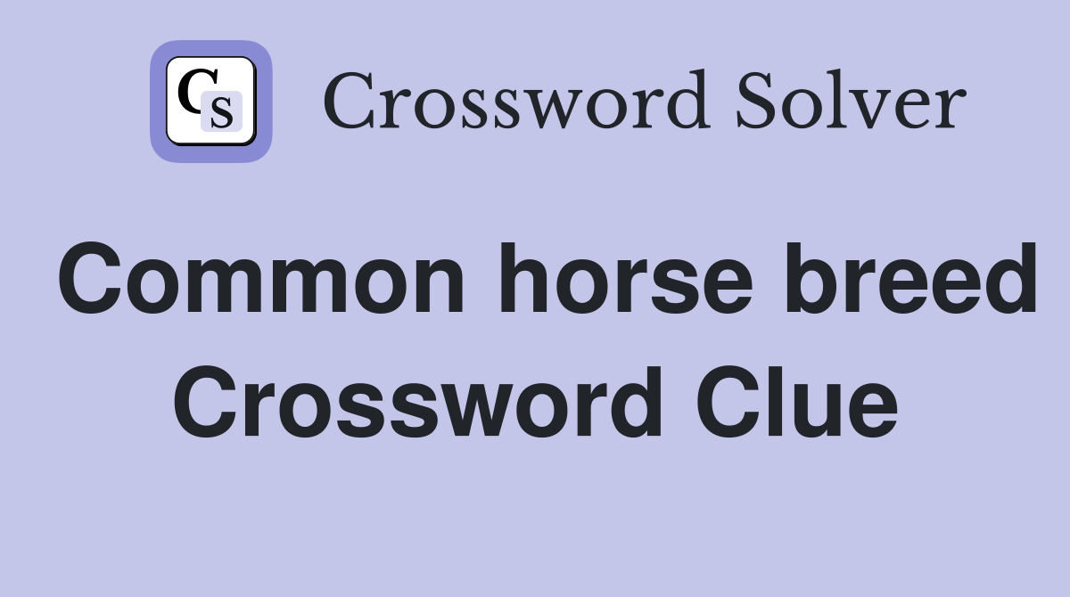 Common horse breed Crossword Clue