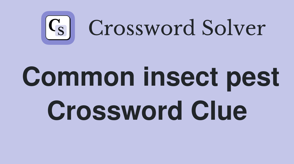 Common insect pest Crossword Clue
