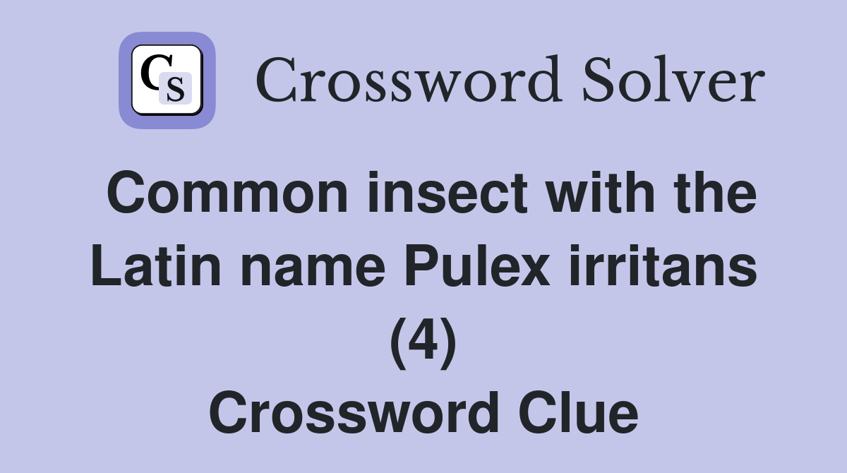Common insect with the Latin name Pulex irritans (4) Crossword Clue