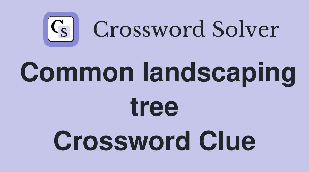 Common landscaping tree Crossword Clue