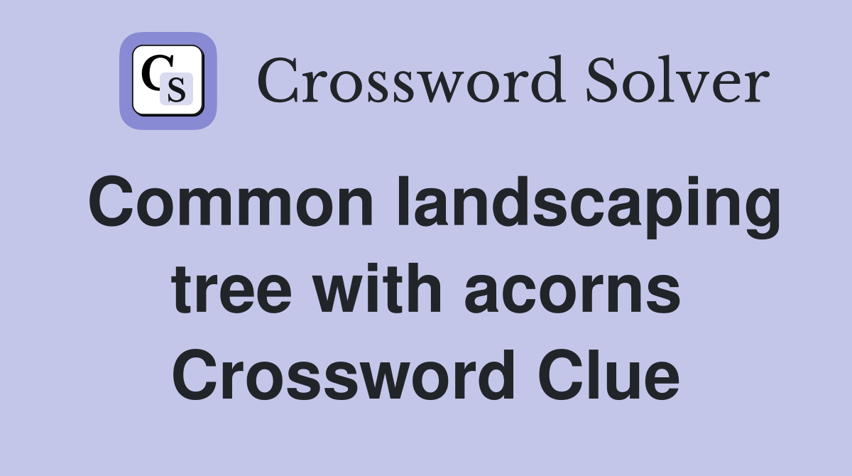 Common landscaping tree with acorns Crossword Clue