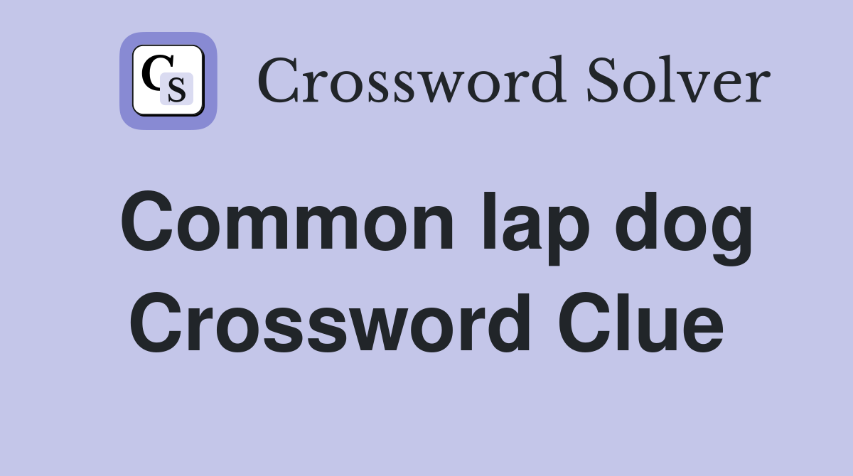 Common lap dog Crossword Clue