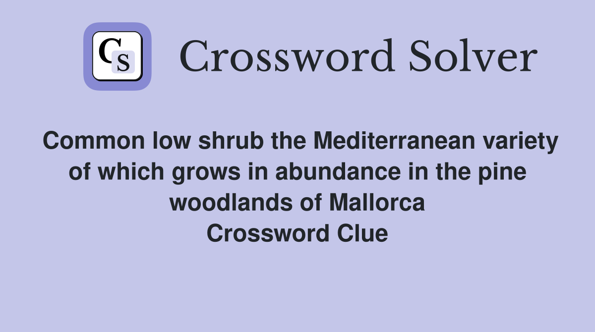 Common low shrub the Mediterranean variety of which grows in abundance in the pine woodlands of Mallorca Crossword Clue