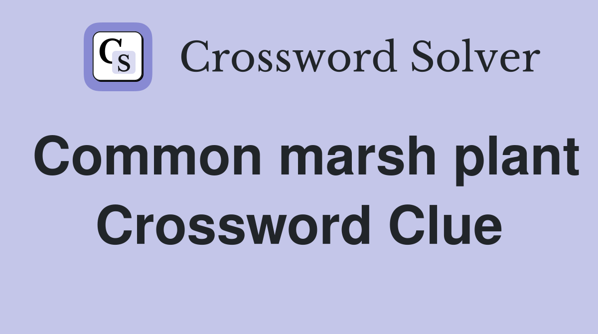 Common marsh plant Crossword Clue
