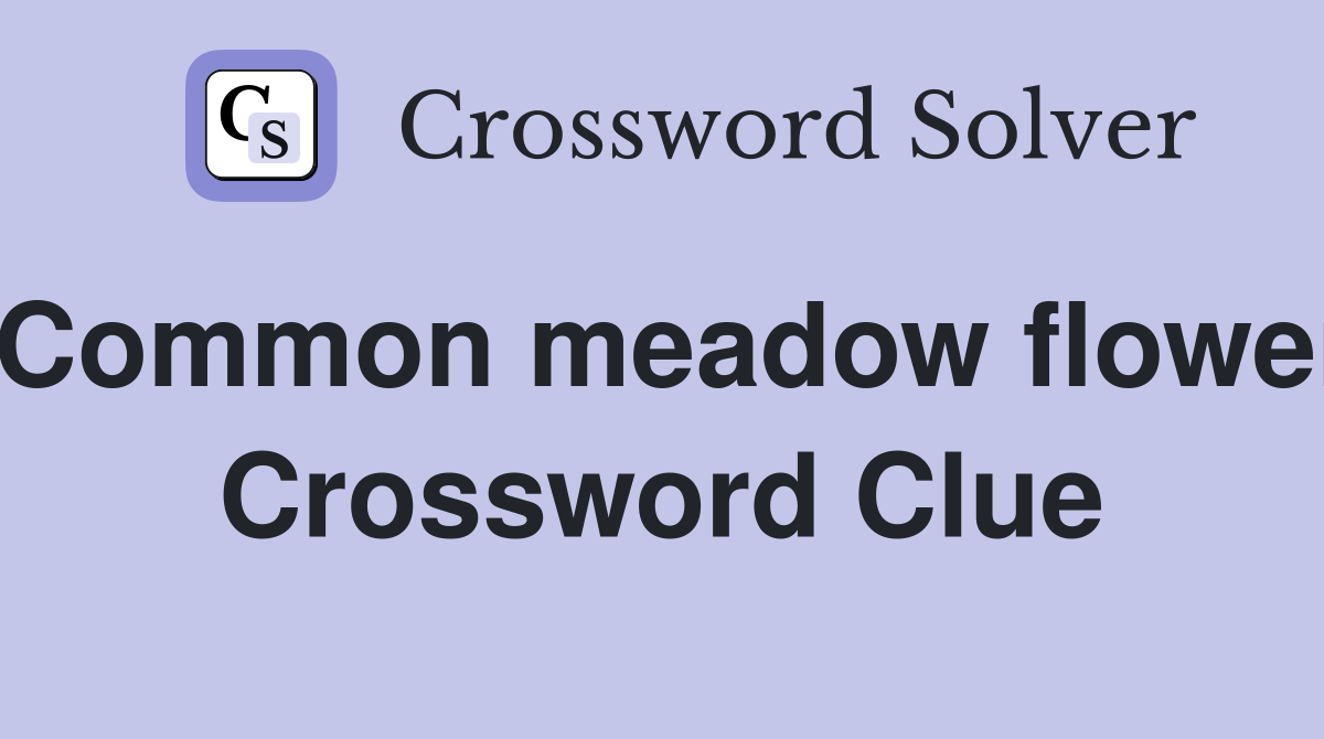 Common meadow flower Crossword Clue
