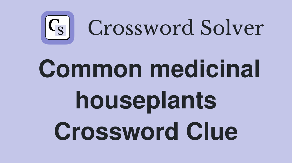 Common medicinal houseplants Crossword Clue