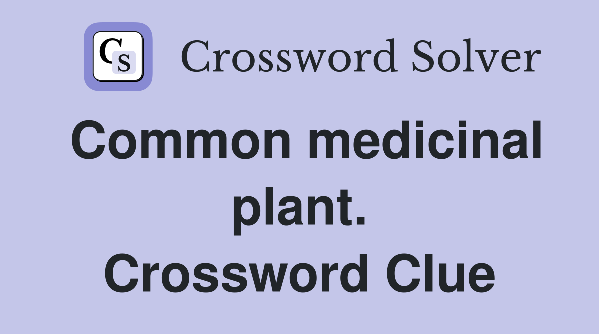 Common medicinal plant. Crossword Clue