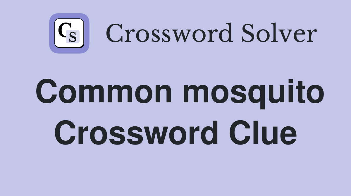 Common mosquito Crossword Clue