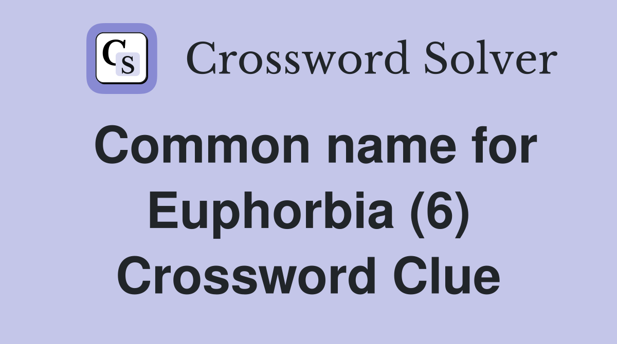 Common name for Euphorbia (6) Crossword Clue