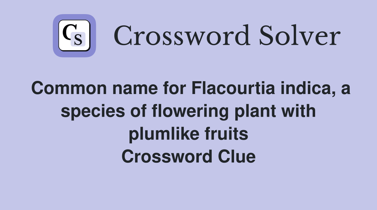 Common name for Flacourtia indica, a species of flowering plant with plumlike fruits Crossword Clue